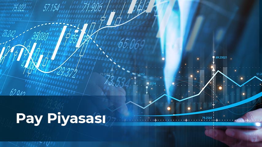 /finansal-okuryazarlik/videolar/pay-piyasasi